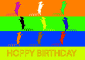 Hoppy Birthday card cover