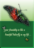 Beautiful butterfly friend card cover